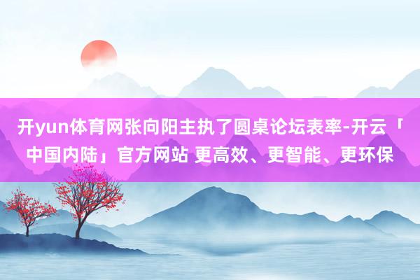 开yun体育网张向阳主执了圆桌论坛表率-开云「中国内陆」官方网站 更高效、更智能、更环保