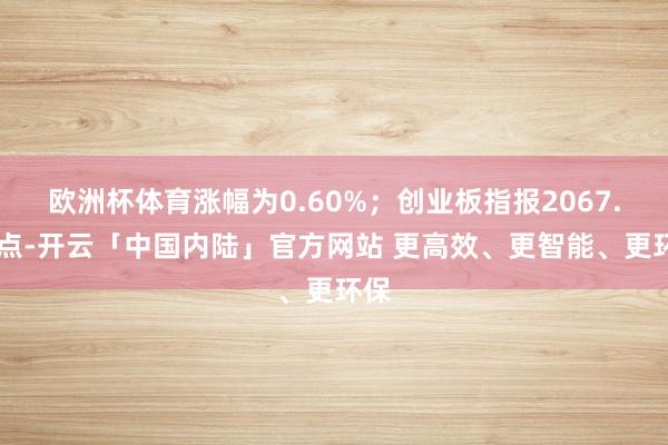 欧洲杯体育涨幅为0.60%；创业板指报2067.27点-开云「中国内陆」官方网站 更高效、更智能、更环保