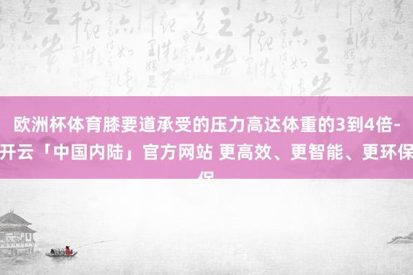 欧洲杯体育膝要道承受的压力高达体重的3到4倍-开云「中国内陆」官方网站 更高效、更智能、更环保