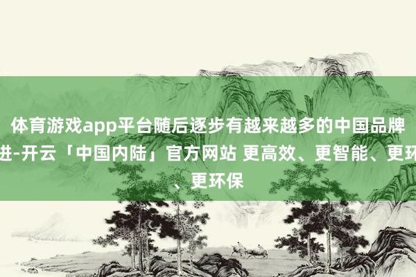体育游戏app平台随后逐步有越来越多的中国品牌跟进-开云「中国内陆」官方网站 更高效、更智能、更环保