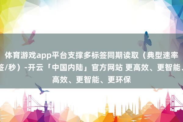 体育游戏app平台支撑多标签同期读取（典型速率50个标签/秒）-开云「中国内陆」官方网站 更高效、更智能、更环保